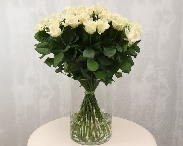 Троянда біла від 60 см