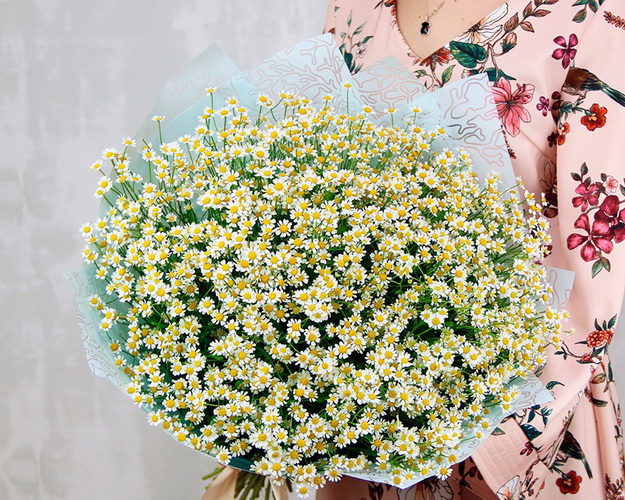 Букет із 49 матрикарій у дизайнерській упаковці.