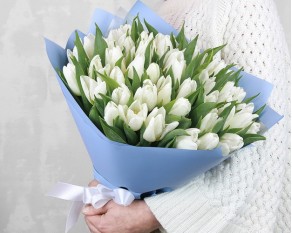 Букет із 51 білого тюльпану у стильній упаковці.