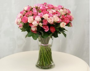 Троянда кущова мікс