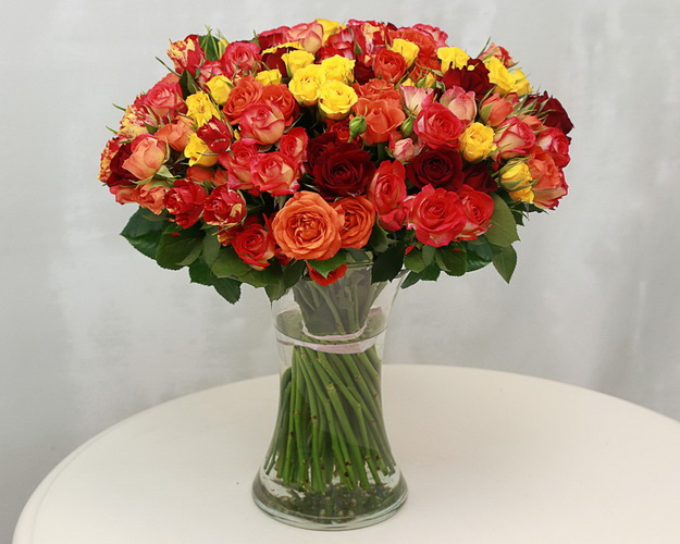 Троянд кущова яскравий мікс