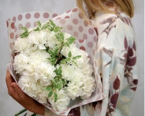 Букет із 25 білих гвоздик із зеленню в стильній упаковці.