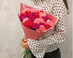 Букет з 25 діантусів (гвоздик) мікс у стильній упаковці