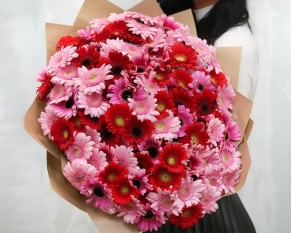 Букет із 101 гербери міні яскравий мікс у стильній упаковці