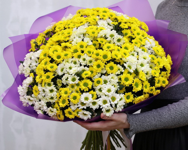 Букет із 49 кущових хризантем в стильній упаковці