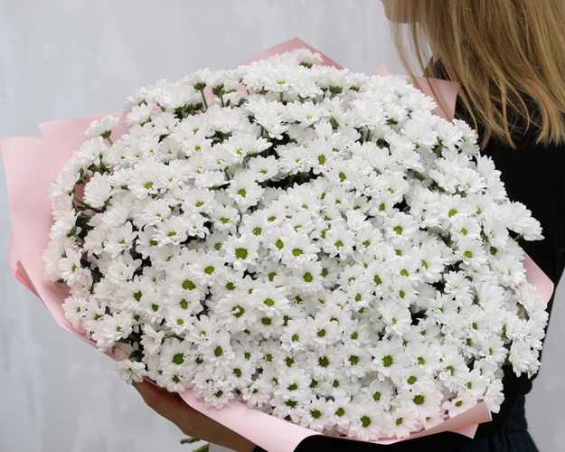 Букет із 75 білих кущових хризантем в стильній упаковці