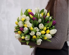 Букет із 51 тюльпану ніжний мікс під атласну стрічку