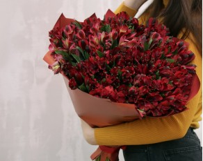 Букет із 51 червоної альстромерії у стильній упаковці.