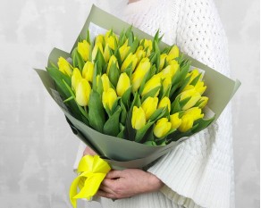 Букет із 51 жовтого тюльпану у стильній упаковці.