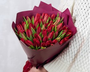 Букет із 51 червоного тюльпану у стильній упаковці