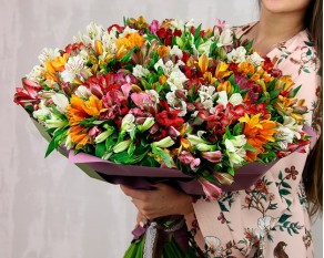 Букет із 101 яскравої альстромерії мікс у стильній упаковці.