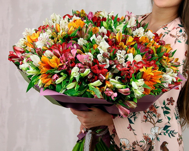 Букет із 101 яскравої альстромерії мікс у стильній упаковці.