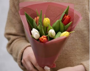 Букет комплімент 7 тюльпанів у стильній упаковці