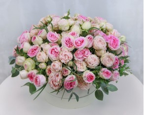 Квіти в коробці Зефірка