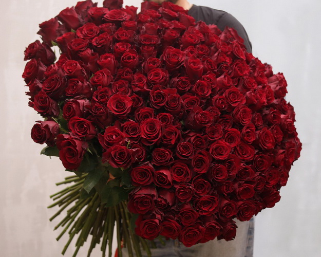 Букет 151 червоної троянди під стрічку