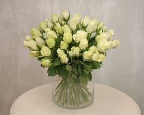 Троянда біла