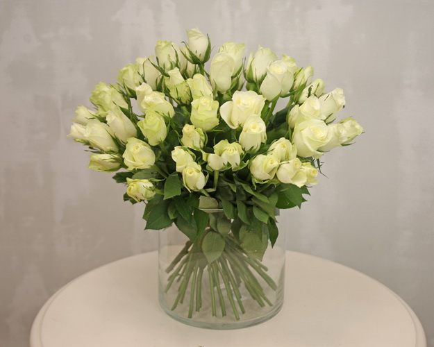 Троянда біла