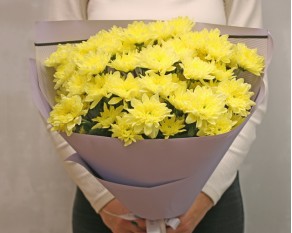 Букет із 9 жовтих кущових хризантем у стильній упаковці.