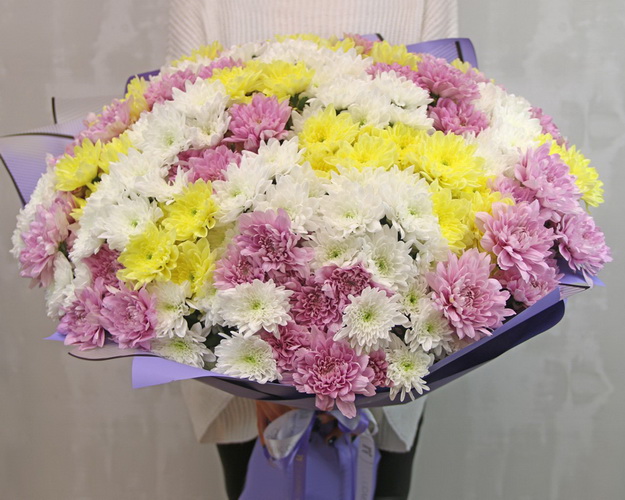 Букет із 51 кущової хризантеми мікс у стильній упаковці