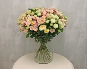 Троянда кущова ніжний мікс