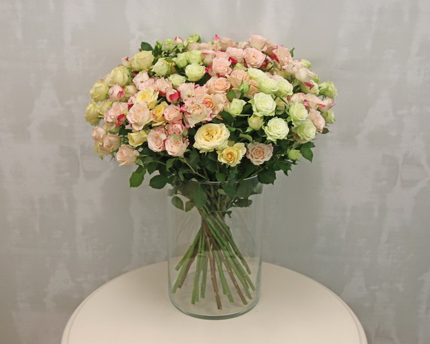 Троянда кущова ніжний мікс