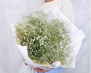 Букет із гіпсофілу Білий пух