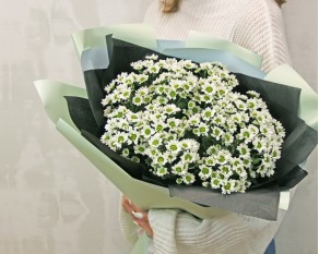 Букет із 15 білих кущових хризантем в стильній упаковці