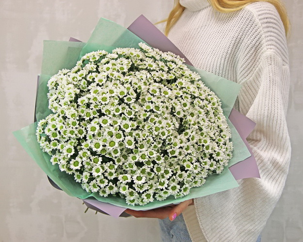 Букет із 51 білої кущової хризантеми в стильній упаковці