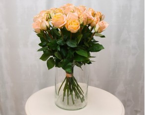 Троянда імпорт коралового відтінку