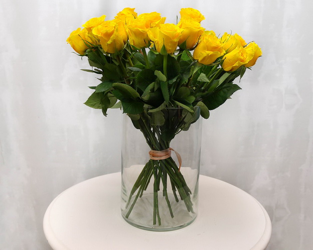 Троянда Еквадор жовта