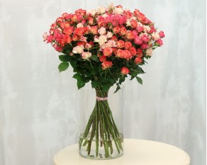 Троянда кущова персиковий мікс