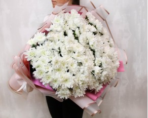Букет із 25 білих кущових хризантем в стильній упаковці