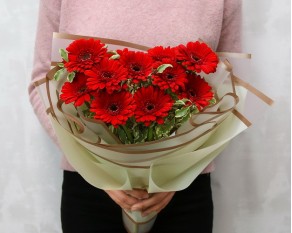 Букет з 11 червоних міні гербер у стильній упаковці із зеленню