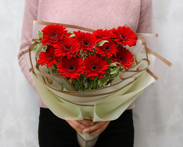 Букет з 11 червоних міні гербер у стильній упаковці із зеленню