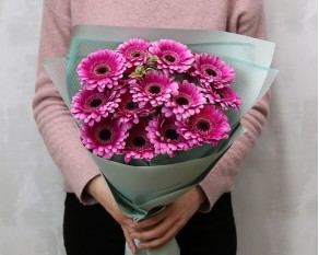 Букет із 15 малинових міні гербер у стильній упаковці із зеленню.