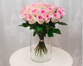 Троянда Еквадор молочно-рожева