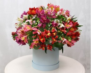 Букет в капелюшної коробки з альстромеріі Яскравий дощ