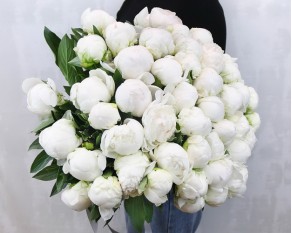 Букет з 51 білої півонії під стрічку