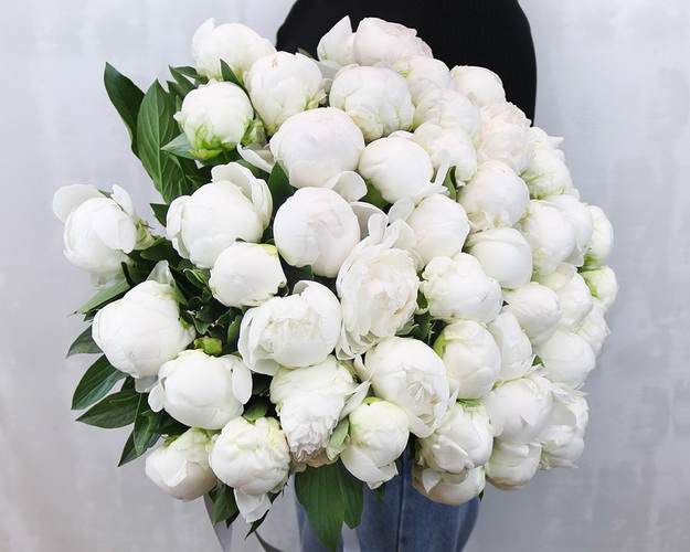 Букет з 51 білої півонії під стрічку