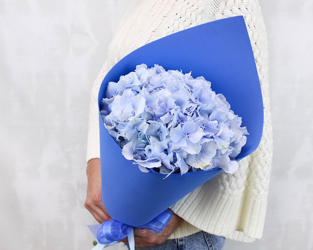 Букет квітів Блакитноока