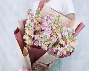 Букет з 19 матіол мікс у стильній упаковці