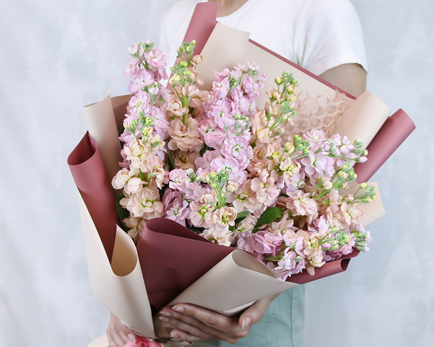 Букет з 19 матіол мікс у стильній упаковці