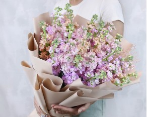 Букет з 25 мікс матіол в стильній упаковці.