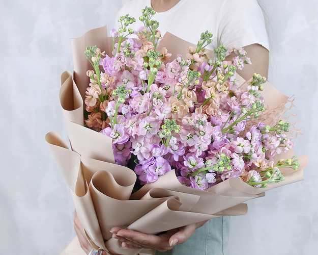 Букет з 25 мікс матіол в стильній упаковці.