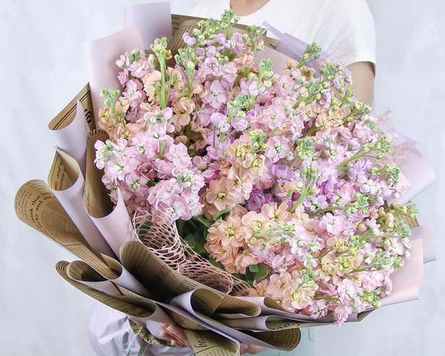 Букет із 51 матіоли мікс у стильній упаковці.