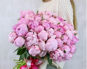 Букет з 51 рожевої півонії під стрічку