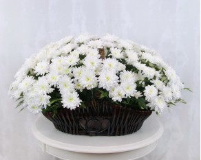 Кошик квітів Банкет