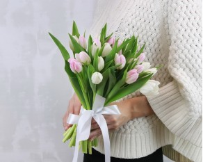 Букет із 25 тюльпанів мікс під стрічку