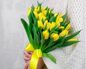Букет із 25 жовтих тюльпанів стандарт під стрічку