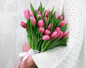 Букет із 25 рожевих тюльпанів стандарт під стрічку.